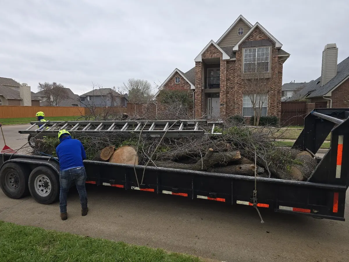 Expert Tree Removal with proper safety equipment in South Naknek